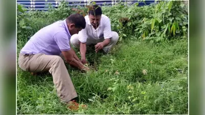 Photos : आरपीएफ के स्थापना दिवस पर पानागढ़ में एकता दौड़, मौके पर योग सत्र के साथ पौधे भी रोपे गये