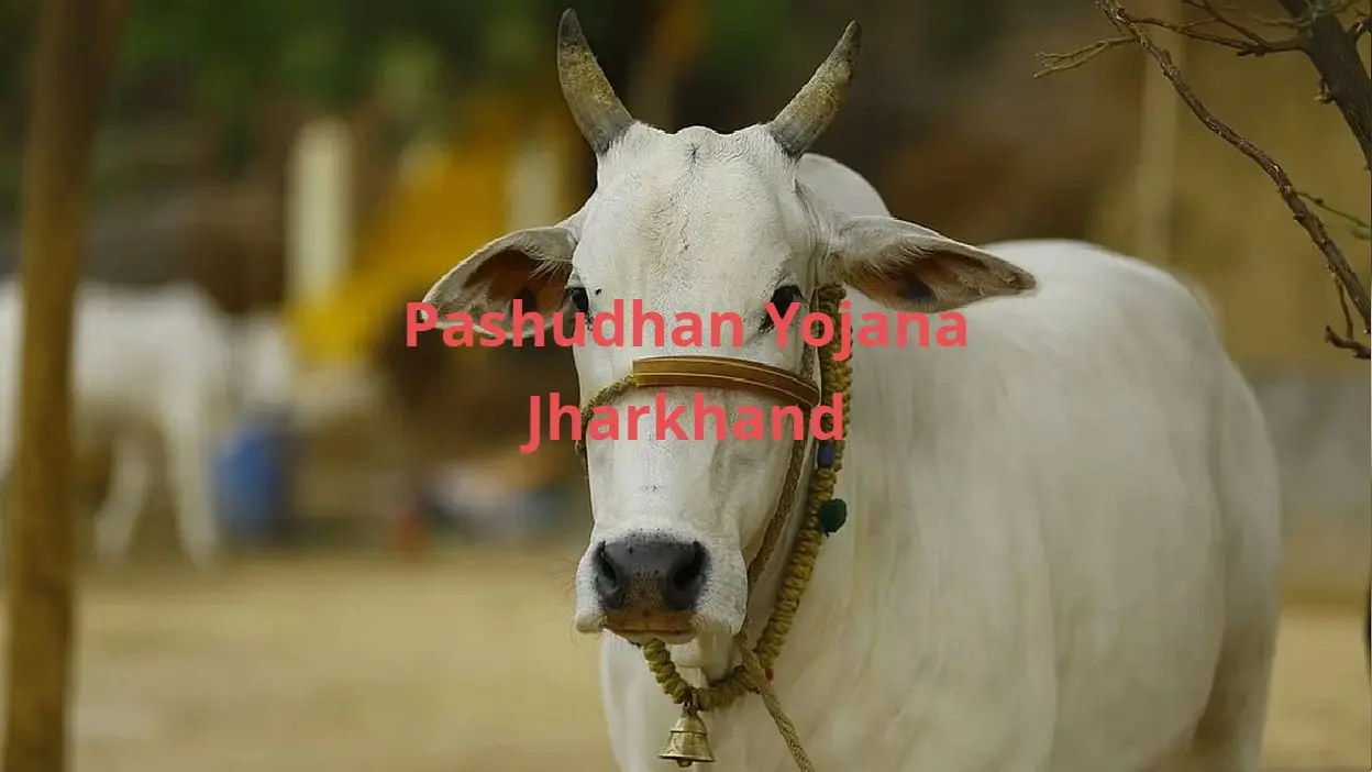 अब किसान अपने घर बैठे ही कर सकेंगे पशुधन स्कीम के लिए आवेदन, जानें कैसे
