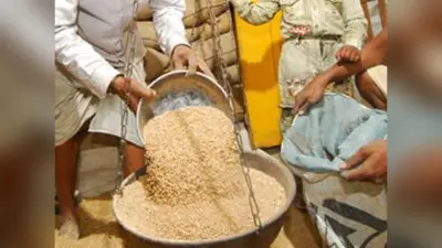 सरकार ने किसानों से की धान की रिकॉर्ड खरीद, CM नीतीश कुमार बोले- अब PDS में मिलेगी बिहार की चावल