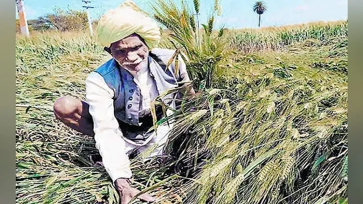 बिहारः जहानाबाद में सीनियर अधिकारी और किसान परेशान, जानें परेशानी के क्या है कारण..