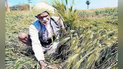बिहारः जहानाबाद में सीनियर अधिकारी और किसान परेशान, जानें परेशानी के क्या है कारण..