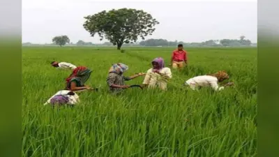 गिरिडीह : किसान जनता पार्टी की बैठक में लिए गए कई निर्णय, जेल भरो आंदोलन का किया ऐलान