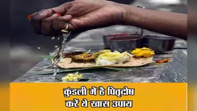 Pitra Dosh Upay: पितृदोष से मुक्ति पाने के लिए करें ये उपाय, दूर होगी आर्थिक तंगी, बनेगा बिगड़ा काम