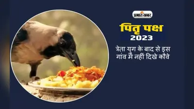 Pitru Paksha 2023: त्रेता युग के बाद से इस गाँव में नहीं दिखे कौवे, जानिए इसके पीछे का रहस्य