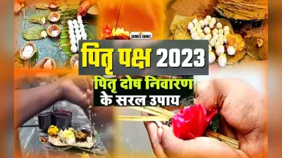 Pitru Paksha 2023: पितृ दोष की वजह से रूक गई है तरक्की, जानिए किन तरीकों से कटता है पितृदोष