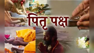 Pitru Paksha Mela:विश्व प्रसिद्ध पितृपक्ष मेले का हुआ समापन, दो साल बाद लाखों लोगों ने किया पिंडदान तर्पण