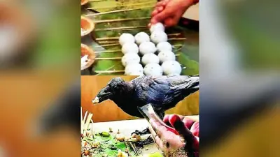 Pitru Paksha 2024: पितृ तर्पण के दिन नजदीक, भागलपुर घाटों पर अव्यवस्था की स्थिति चिंताजनक