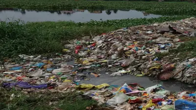 गया में प्लास्टिक बैन का नहीं दिख रहा असर, हर दिन कचरे से निकाल रहा 9 टन पॉलीथिन बैग