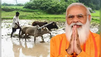 Balrampur News: सरयू नहर राष्ट्रीय परियोजना की सौगात देंगे PM नरेंद्र मोदी, 9 जिलों के 30 लाख किसानों को लाभ