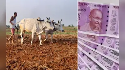 PM Kisan 13th Installment: पीएम मोदी ने किसानों को दिया होली गिफ्ट, खाते में आया 13वीं किस्त का पैसा…