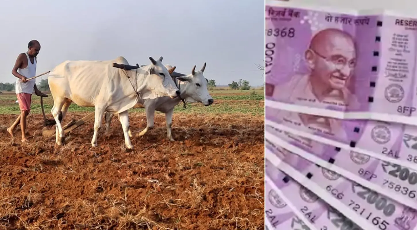 किसान सम्मान निधि योजना: किसानों के करोड़ों रूपये गटक गए हजारों संपन्न लोग, आधार से लिंक करने पर इस तरह हुआ खुलासा…