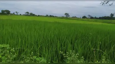 PM Kisan Samman Nidhi: कहीं अटक ना जाए पीएम किसान की 11वीं किस्त ? जानें कब आने वाला है खाते में पैसा