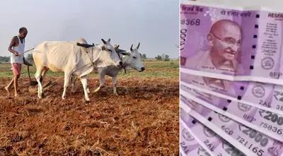 किसान सम्मान निधि योजना: किसानों के करोड़ों रूपये गटक गए हजारों संपन्न लोग, आधार से लिंक करने पर इस तरह हुआ खुलासा…