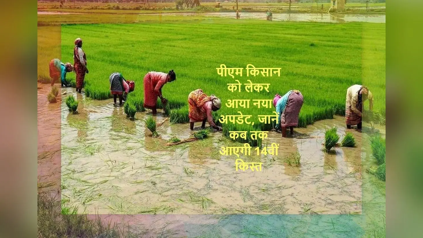 PM Kisan Yojana Update: पीएम किसान को लेकर आया नया अपडेट, जानें कब तक आएगी 14वीं किस्त, कैसे करें अप्लाई
