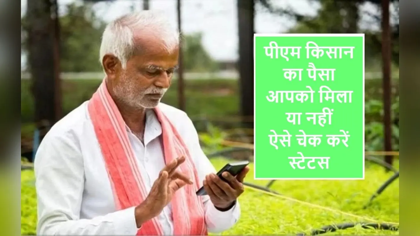 PM Kisan Yojana: आपके खाते में नहीं आयी 15वीं किस्त? करेंगे यह काम, तो मिलेगा समाधान