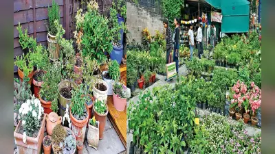 Ranchi News: बारिश के बाद बगिया में आया बहार, बागवानी की तैयारी में जुटे राजधानी रांची के लोग