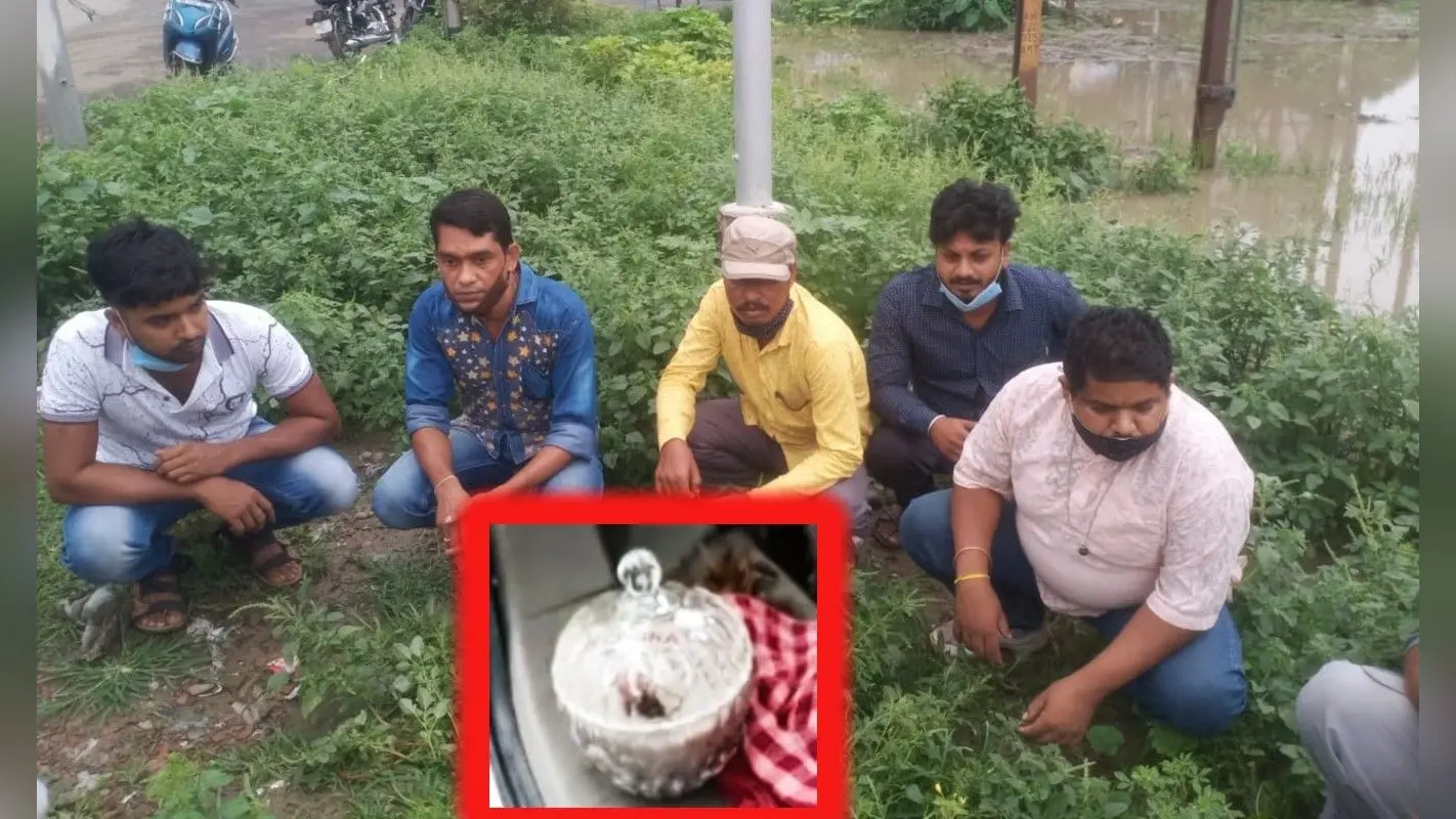 बंगाल में किंग कोबरा के जहर के साथ 5 गिरफ्तार, आर्मी इंटेलिजेंस ने कांचरापाड़ा में दबोचा