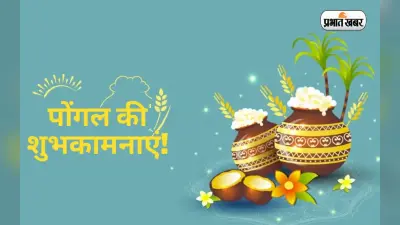 Pongal 2023: आज से चार दिवसीय पोंगल शुरू, जानें क्या क्या है इसकी मान्यताएं