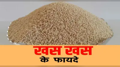 Poppy Seeds Benefits: बड़ा फायदे का है खसखस का इस्तेमाल, हड्डियों व दांतों को ऐसे बनाता है मजबूत