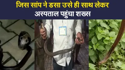 पश्चिम बंगाल में हैरान करने वाली घटना, जिस सांप ने डसा उसे ही साथ लेकर अस्पताल पहुंचा शख्स