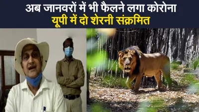 Corona in animals: अब जानवरों में भी फैलने लगा है कोरोना वायरस,यूपी में दो शेरनी संक्रमित