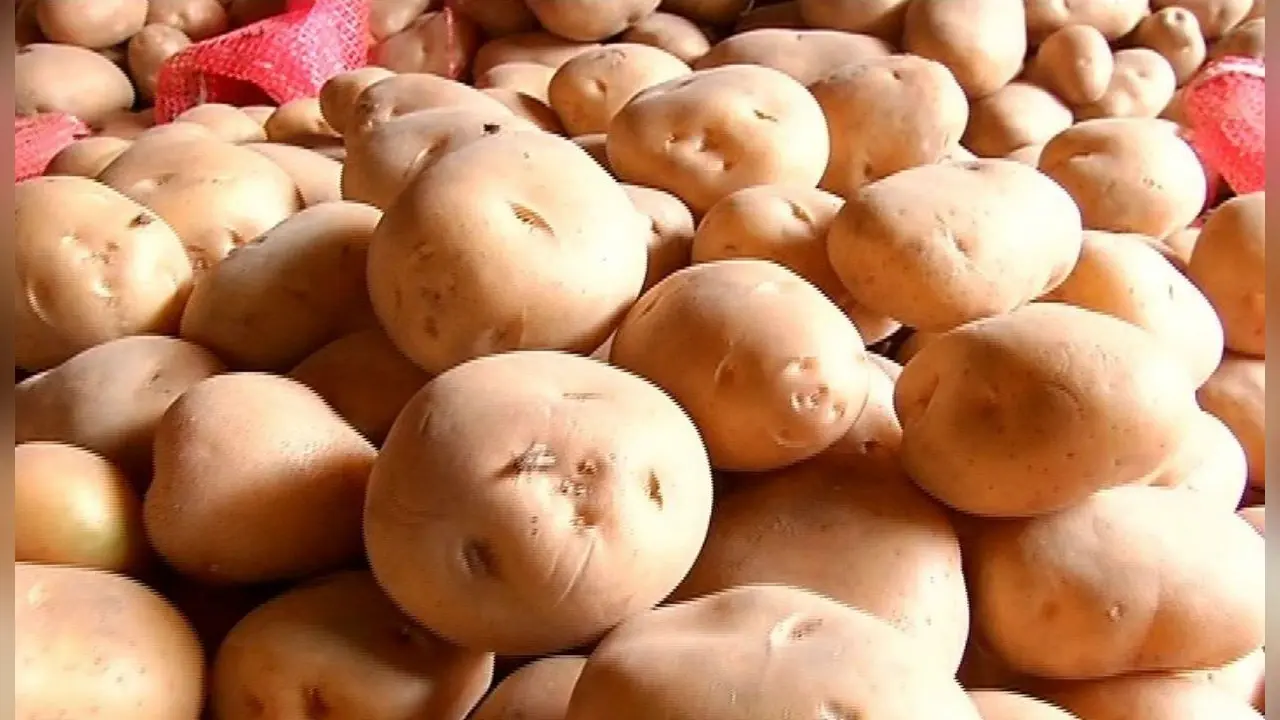 Onion-Potato Price : रसोई से गायब होती जा रही है बच्चों की सबसे प्यारी सब्जी, एक किलो खरीदने में मम्मी-पापा के छूट रहे पसीने