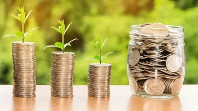 PPF Account: क्या बैंक खाते की तरफ खोल सकते हैं एक से ज्यादा पीपीएफ अकाउंट? जानें निवेश से जुड़ी हर जानकारी