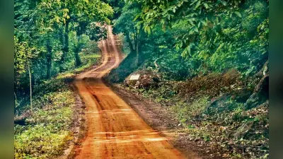 दलमा वन्य प्राणी आश्रयणी में बाइक या स्कूटर ले जाने पर रोक, पर्यटकों के लिए नया रेट लागू