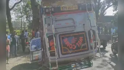 आईबीपीएस क्लर्क एडमिट कार्ड 2023 जारी, इस लिंस से करें डाउनलोड