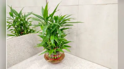 ठंड से बचने के लिए अंगीठी और हीटर जलाते वक्त न करें ऐसी गलती, रहें सावधान