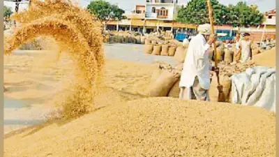MP के किसानों से उच्चतम बाजार मूल्य पर धान खरीदी का मामला : किसानों को मिलने लगा नये कृषि कानून का लाभ : नरेंद्र सिंह तोमर