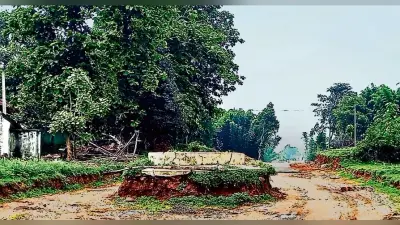 विश्व हास्य दिवस पर हंसी के फव्वारे छोड़ते टीवी जगत के कुछ वाक्ये