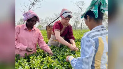 Assam Election 2021 : ‘टी पॉलिटिक्स’ प्रियंका गांधी ने सिर पर टोकरी डाल तोड़ी चाय की पत्तियां, मजदूर के घर किया भोजन