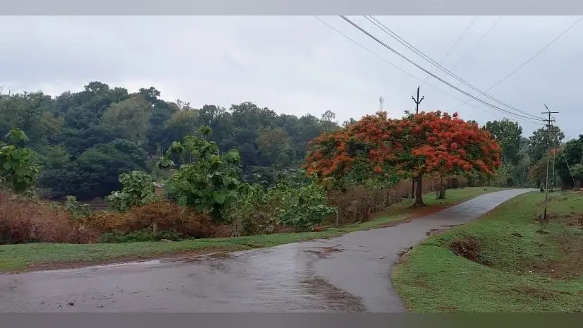Jharkhand Weather Forecast: झारखंड में कब से होगी Monsoon की बारिश, बारिश व वज्रपात को लेकर येलो अलर्ट