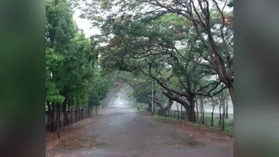 Jharkhand Weather Forecast : झारखंड में फिर बदलेगा मौसम का मिजाज, दुर्गा पूजा में होगी बारिश, कब से लगेगी ठंड