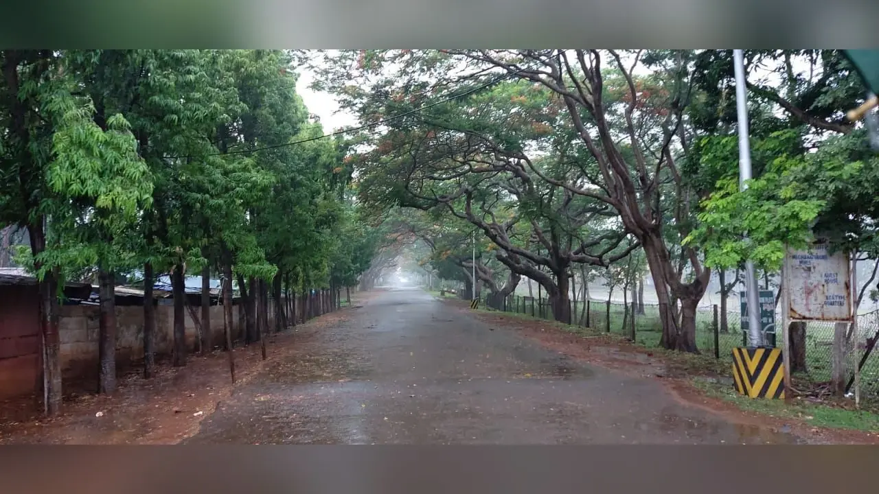 Jharkhand Weather Forecast: झारखंड में हाड़ कंपा रही शीतलहर से कब मिलेगी राहत, कब से होने वाली है बारिश