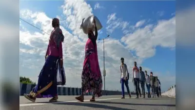 ई-श्रम कार्ड से संपूर्ण भारत के मजदूरों को मिलेगा रोजगार, जानिए आवेदन के लिए जरूरी योग्यता और पूरी प्रक्रिया