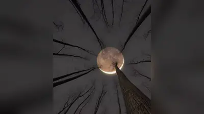 Chaitra Purnima 2023: चैत्र पूर्णिमा आज, यहां जानिए शुभ मुहूर्त और महत्व