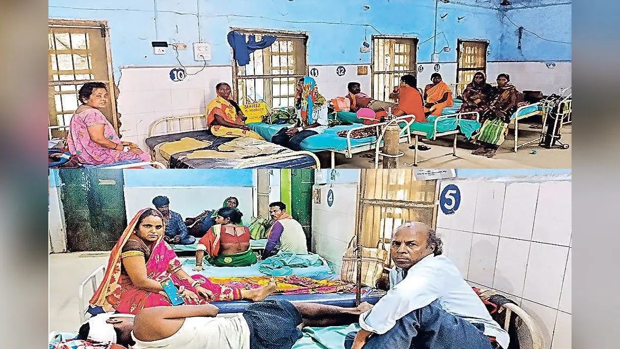 Bihar News: भीषण गर्मी व तेज धूप का लोगों पर असर, सदर अस्पताल 20 प्रतिशत मरीजों की हुई बढ़ोतरी