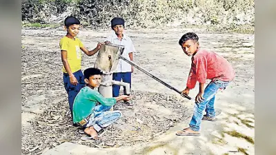 Bhagalpur news: भागलपुर के 501 विद्यालयों में चापाकल की व्यवस्था नहीं, छात्र पेयजल के लिए हो रहे परेशान