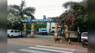 Arrah Sadar Hospital: नवजात की मौत के बाद परिजनों का बवाल, स्वास्थ्यकर्मियों पर लगाया लापरवाही का आरोप