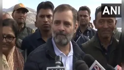 राहुल गांधी की लोकसभा सदस्यता रद्द, बीजेपी नेता ने कहा- किया एक समुदाय का अपमान