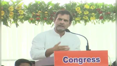 दाहोद की आदिवासी सत्याग्रह रैली में पीएम मोदी पर बरसे राहुल, बोले- देश में वही कर रहे, जो गुजरात में किया