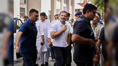 ‘मजिस्ट्रेट ने जैसे निर्णय दिया है वो धारा 202 का उल्लंघन ‘, जानिए अब क्या होगा राहुल गांधी का अगला कदम