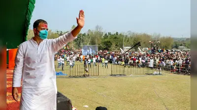 अनुच्छेद 370 हटने के बाद पहली बार Jammu-Kashmir पहुंचे Rahul Gandhi, खीरभवानी मंदिर में कुछ ऐसे की पूजा