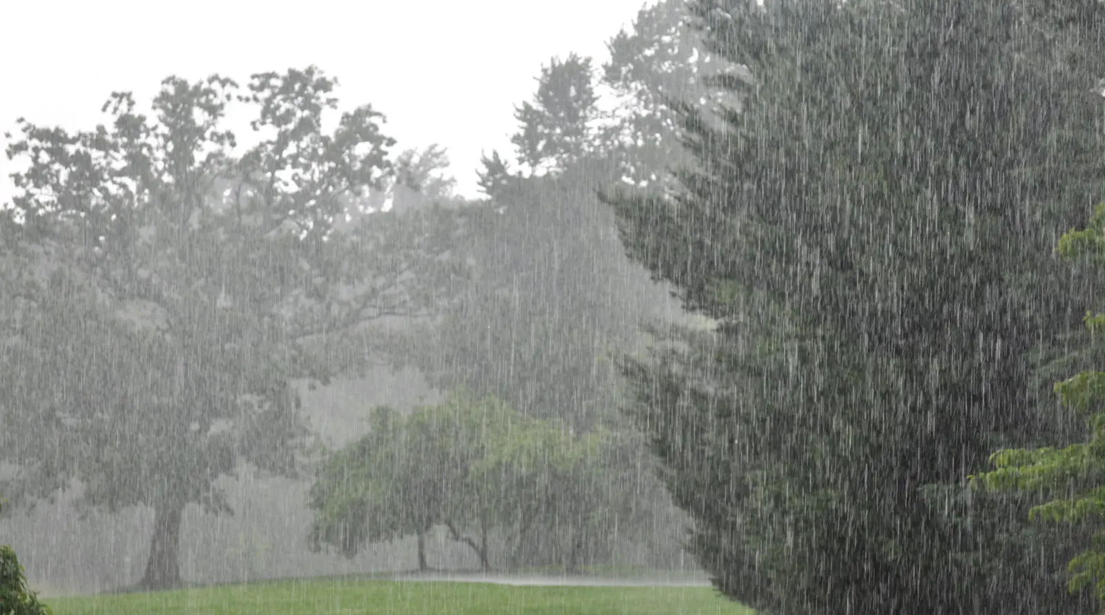Bihar Weather, Latest Update : बिहार के 18 जिलों में मौसम विभाग का अलर्ट, अगले 72 घंटों में भारी से अत्यंत भारी बारिश की चेतावनी