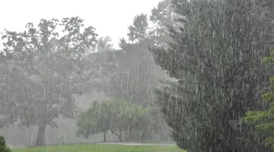 Bihar Weather, Latest Update : बिहार के 18 जिलों में मौसम विभाग का अलर्ट, अगले 72 घंटों में भारी से अत्यंत भारी बारिश की चेतावनी