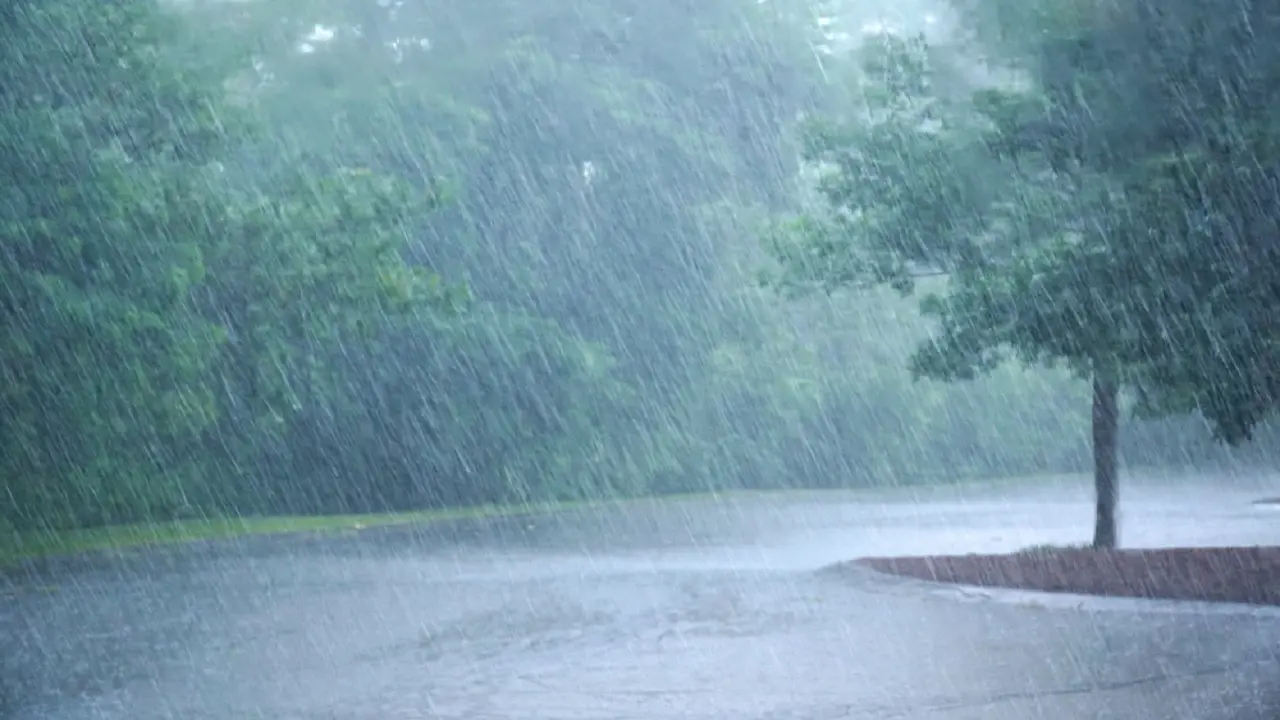 Bihar Weather: बिहार में गर्मी से कब मिलेगी राहत, जानें मानसून को लेकर मौसम विभाग का पूर्वानुमान