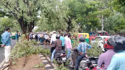 किसी के आने-जाने का रास्ता बंद नहीं किया जा सकता : सुप्रीम कोर्ट