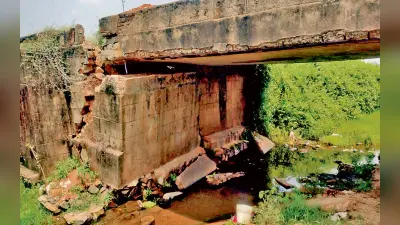एक साल से जान हथेली पर रखकर गिरिडीह के राजा पुल को पार कर रहे हैं लोग, नहीं ले रहा कोई सुध